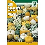 Semillas de Calabaza mezcla de pequeños frutos foto / 1,62 €