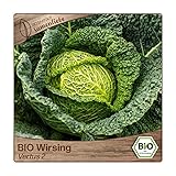 Samenliebe BIO Wirsing Samen alte Sorte Vertus 2 mild feiner Herbstwirsing plattrunder Kohl 200 Samen samenfestes Gemüse Saatgut für Gewächshaus Freiland und Balkon BIO Gemüsesamen winterhart foto / 3,49 €