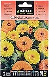 Calendula enana FIESTA GITANA foto / 1,88 €