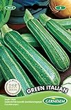 Germisem Green Italian Semillas de Calabacín 3 g, EC4014 foto / 2,21 €