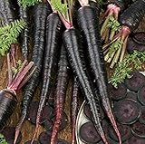 500+ Exotic Black Nebula Carrot Seeds to Grow - Daucus carota - Colorful Edible Vegetables. Made in USA photo / $7.98 ($0.02 / Count)