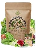 25 Winter Vegetable Garden Seeds Variety Pack for Planting Outdoors & Indoor Home Gardening 6500+ Non-GMO Heirloom Veggie Seeds: Broccoli Beet Carrot Collard Lettuce Radish Spinach Pea Kohlrabi & More photo / $19.99 ($0.80 / Count)