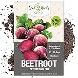 Seed Needs, Detroit Dark Red Beet (Beta vulgaris) Bulk Package of 2,000 Seeds Non-GMO photo / $7.49