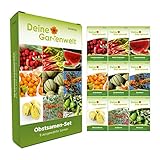 Obstsamen Set - 9 Sorten Samen - Saatgut Sortiment - Anzuchtset für Obst - Geschenkset - Wassermelone, Physalis, Erdbeere, Honigmelone, Melonenbirne, Rhabarber, Goji und mehr foto / 8,95 € (0,99 € / stück)