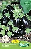 Aubergine Mini Kaberi F1 foto / 3,68 €