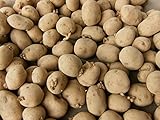 5 Lbs Yukon Gold Seed Potatoes - USA Non-GMO Certified Potato TUBERS SPUDS photo / $9.99