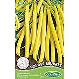 Germisem Roi Des Beurres Semillas de Frijol Francés 100 g foto / 4,91 €