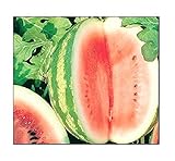 25 Crimson Sweet Watermelon Seeds | Non-GMO | Fresh Garden Seeds photo / $6.95