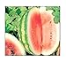 photo 25 Crimson Sweet Watermelon Seeds | Non-GMO | Fresh Garden Seeds