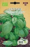 Germisem Bio Graines Basilic GENOVESE photo / 7,09 €