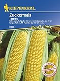 Maissamen - Zuckermais Tatonka von Kiepenkerl foto / 3,34 €