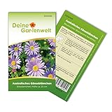 Australisches Gänseblümchen Blausternchen Samen - Brachyscome iberidifolia - Gänseblümchensamen - Blumensamen - Saatgut für 200 Pflanzen foto / 1,99 € (0,01 € / stück)