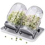 Kit de tarros de germinador de semillas, 2 tarros de germinación con tapas de colador de acero inoxidable, juego de tarros de germinación para semillas de brócoli, frijoles de brócoli foto / 28,99 €