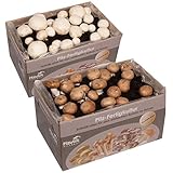 2 X Champignon Pilzkulturen I Probierset I Hawlik Pilzbrut I kinderleicht Pilze selber züchten I ohne Vorkentnisse foto / 25,80 € (12,90 € / stück)