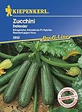 Zucchini Defender F1 foto / 3,96 €