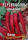 ScoutSeed CAPSICUM ANNUUM var THAI DRAGON 1 Packung Samen 1 Packung Samen Chili-Pfeffer foto / 4,99 €