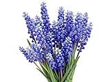 Muscari Armeniacum - 15 Grape Hyacinth Bulbs - Top Size 9/10 cm photo / $17.99 ($1.20 / Count)