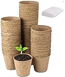 LATERN 100Pcs 8cm Macetas de Semillas de Fibra Biodegradable para Plántulas y Trasplantes con 100pcs Etiquetas de Plantas de Plástico (Blanco 5x1cm) foto / 13,99 €