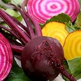 Beets Gourmet Blend Certified Organic Heirloom Seeds 100 Seeds photo / $1.99