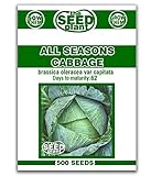 All Seasons Cabbage Seeds - 250 SEEDS photo / $1.59