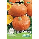 Germisem Vif D 'Etampes Semillas de Calabaza 3 g (EC4006) foto / 2,21 €