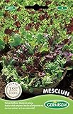 Germisem Mesclun Semillas de Ensalada Mix 4 g foto / 2,21 €