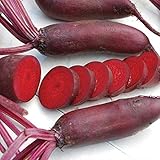 Cylindra Beet Seeds(Organic) - 6-7