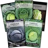 Sow Right Seeds - Cabbage Seed Collection for Planting - Savoy, Red Acre, Golden Acre, Copenhagen Market, and Michihili (Napa) Cabbages, Instructions to Plant and Grow a Non-GMO Heirloom Home Garden photo / $10.99