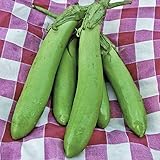 Thai Long Green Eggplant Seeds (25+ Seeds) photo / $4.69