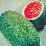 Watermelon, Charleston Grey, Heirloom,100 Seeds, Large photo / $2.99 ($0.03 / Count)