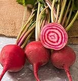 David's Garden Seeds Beet Chioggia Guardsmark 3287 (Multi) 200 Non-GMO, Heirloom Seeds photo / $3.95