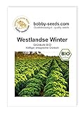 BIO-Kohlsamen Westlandse Winter Grünkohl Portion foto / 1,95 €