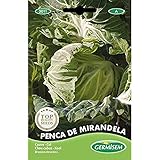 Germisem Penca de Mirandela Semillas de Col 5 g, EC3011 foto / 2,21 €