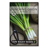 Sow Right Seeds - Heshiko Bunching Japanese Green Onion Seeds for Planting - Non-GMO Heirloom Seeds with Instructions to Plant and Grow a Kitchen Garden, Indoor or Outdoor; Great Gardening Gift photo / $5.99