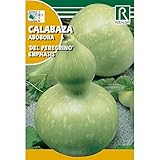 Semilla Calabaza del Peregrino foto / 1,62 €