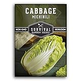 Survival Garden Seeds - Michihili Napa / Nappa Cabbage Seed for Planting - Pack with Instructions to Plant and Grow Brassica Vegetables in Your Home Vegetable Garden - Non-GMO Heirloom Variety photo / $4.99