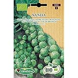 Germisem Orgánica Sanda Semillas de Brotes de Bruselas 2 g (ECBIO3024) foto / 3,99 €