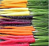 MySeeds.Co Big Pack - (3,500+) Rainbow Mix Carrot Seeds - Atomic Red, Bambino Orange, Cosmic Purple, Lunar White and Solar Yellow Seeds (Big Pack - Carrot Rainbow Mix) photo / $9.99 ($0.02 / Count)