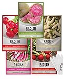 Radish Seeds for Planting 5 Individual Packets - Watermelon, French Breakfast, Champion, Cherry Belle, White Icicle for Your Non GMO Heirloom Vegetable Garden by Gardeners Basics photo / $10.95