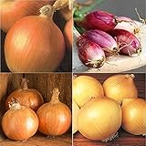 David's Garden Seeds Collection Set Onion Long-Day 9332 (Multi) 4 Varieties 800 Non-GMO, Open Pollinated Seeds photo / $16.95 ($4.24 / Count)