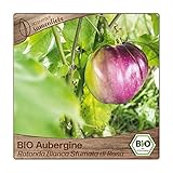 Samenliebe BIO Auberginen Samen alte Sorte Rotonda Bianca Sfumata di Rosa baby Aubergine runde Eierfrucht rosa weiß 10 Samen samenfestes Gemüse Saatgut für Gewächshaus Freiland und Balkon foto / 3,29 €