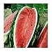 photo David's Garden Seeds Fruit Watermelon Allsweet 1429 (Red) 50 Non-GMO, Heirloom Seeds