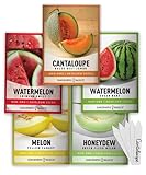 Melon Fruit Seeds For Planting Home Garden 5 Variety Packs - Hales Best Cantaloupe, Crimson Sweet Watermelon, Yellow Canary Melon, Green Flesh Honeydew Melon, Sugar Baby Watermelon by Gardeners Basics photo / $10.95 ($2.19 / Count)