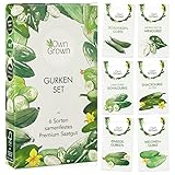 Gurken Samen Set: 6 Sorten Gurken Saatgut mit Freilandgurken Samen, Einlegegurken Samen, Minigurke Samen – Samen Gemüse Samen, OwnGrown Gurke Samen foto / 7,95 € (1,32 € / stück)