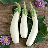 David's Garden Seeds Eggplant Casper 3411 (White) 50 Non-GMO, Open Pollinated Seeds photo / $4.45