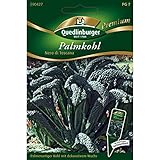 Palmkohl, Nero di Toscana, ca. 150 Samen foto / 2,44 € (0,02 € / stück)