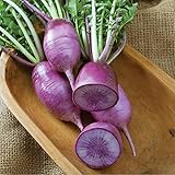 David's Garden Seeds Radish Kn-Bravo 5437 (Purple) 100 Non-GMO, Hybrid Seeds photo / $4.45