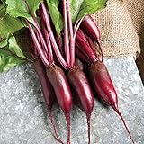 David's Garden Seeds Beet Cylindra 4343 (Red) 200 Non-GMO, Hybrid Seeds photo / $3.95