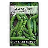 Sow Right Seeds - Sugar Snap Pea Seed for Planting - Non-GMO Heirloom Packet with Instructions to Plant a Home Vegetable Garden photo / $5.49