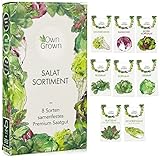 Salat Samen: 8 Sorten Salat Saatgut Set für Garten und Balkon – Kopfsalat Samen, Blattsenf, Feldsalat Samen winterhart, Radicchio, Endiviensalat Samen, Zichorie – Salat Gemüse Samen von OwnGrown foto / 6,35 € (0,79 € / stück)